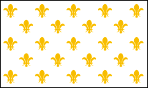 A collection of yellow fleur-de-lis symbols arranged in a grid pattern on a transparent background.