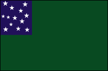 Illustration of a flag with a dark blue field in the upper left corner containing white stars arranged in rows and a green field occupying the rest of the flag.