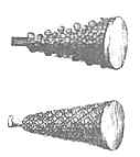 Pineapple shot casings diagram.