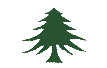 Iconic green pine tree symbol, simplistic and stylized.