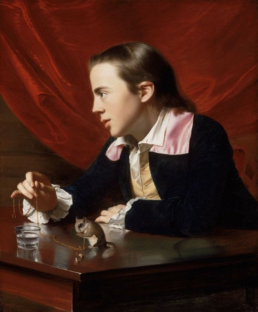 A Boy with a Flying Squirrel, John Singleton Copley, 1765.