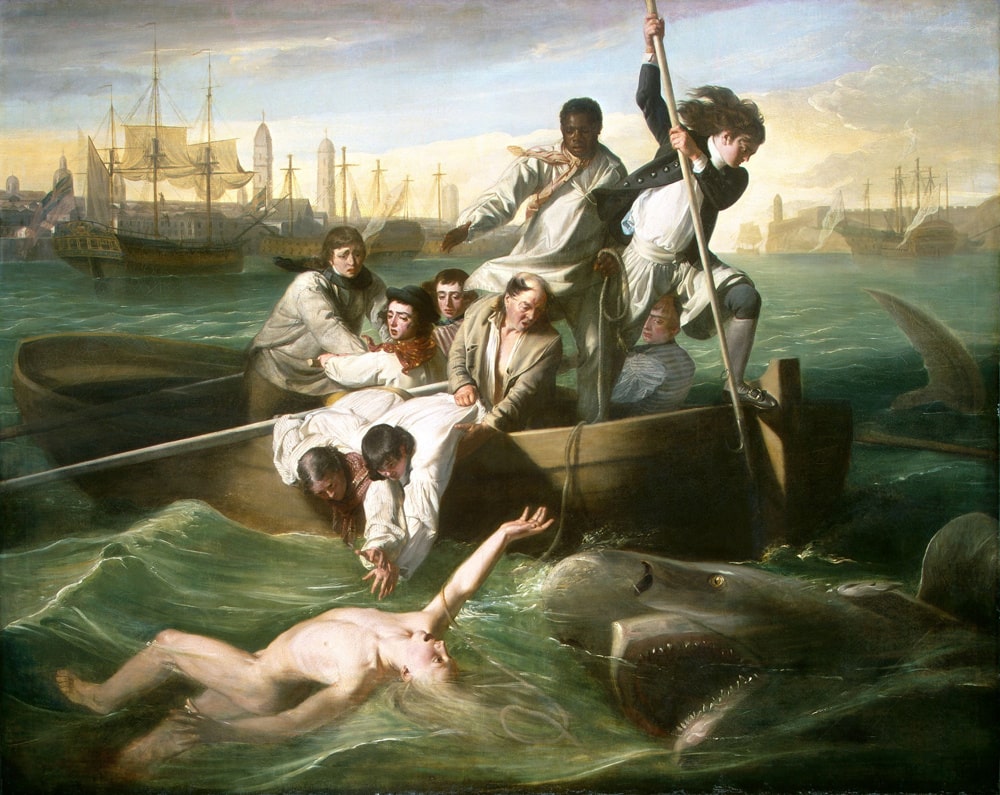 Watson and the Shark, John Singleton Copley, 1778.