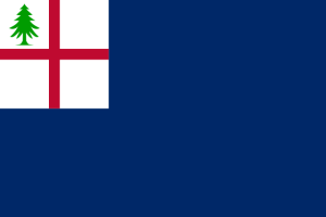 Bunker Hill Flag.