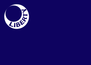 Fort Moultrie flag.