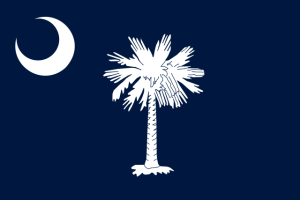 South Carolina state flag.