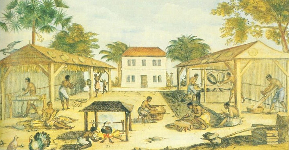 Slaves working on a colonial tobacco plantation, 1670.